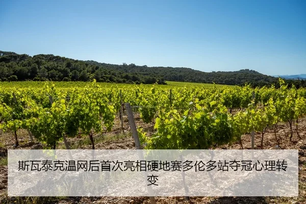 斯瓦泰克温网后首次亮相硬地赛多伦多站夺冠心理转变